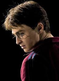 shahinpotter