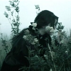 Dark_violet