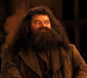 تصویر پروفایل Rubeus Hagrid