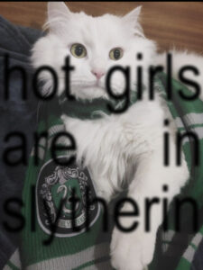 تصویر پروفایل Luna Malfoy